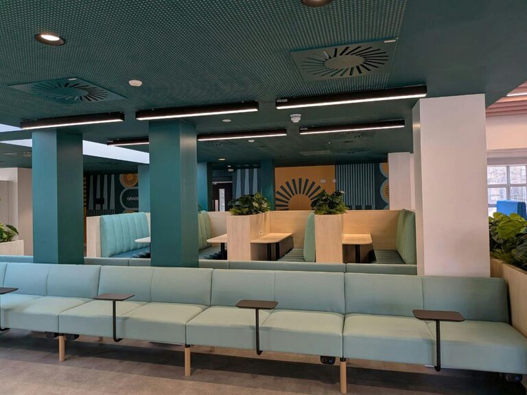 Essential Tips for Keeping Your Houseplants Healthy and Thriving